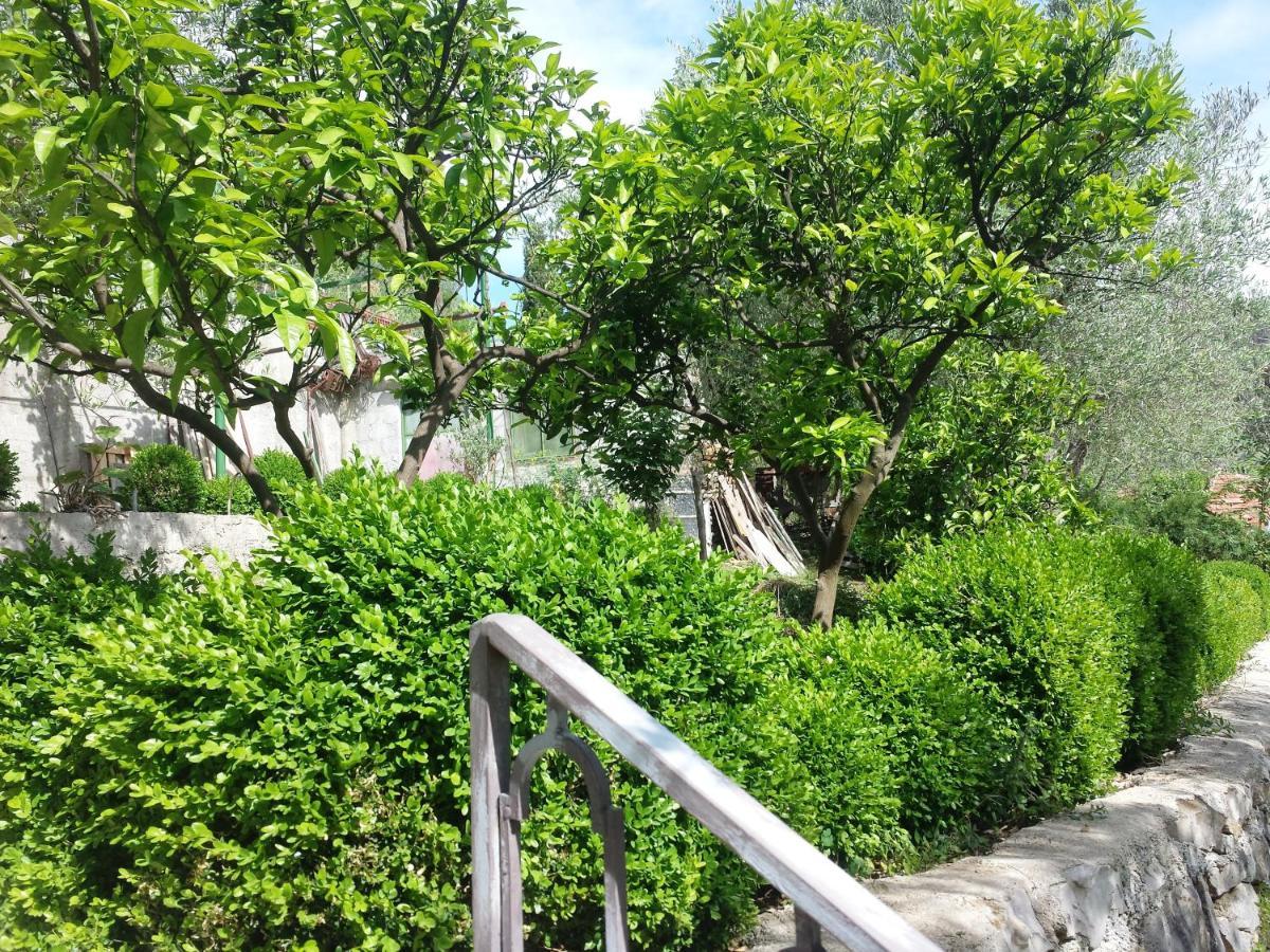 Hoxha Rooms Ulcinj Esterno foto